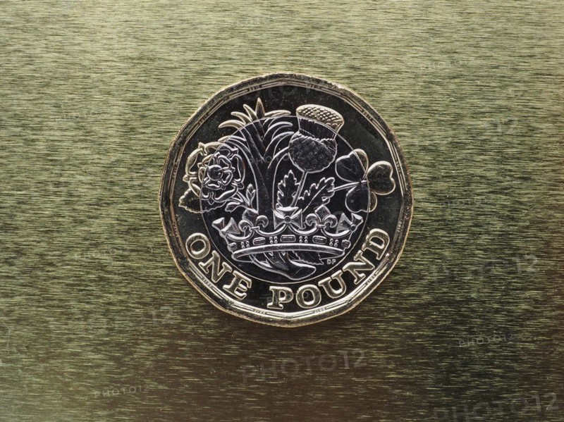 1 pound coin money