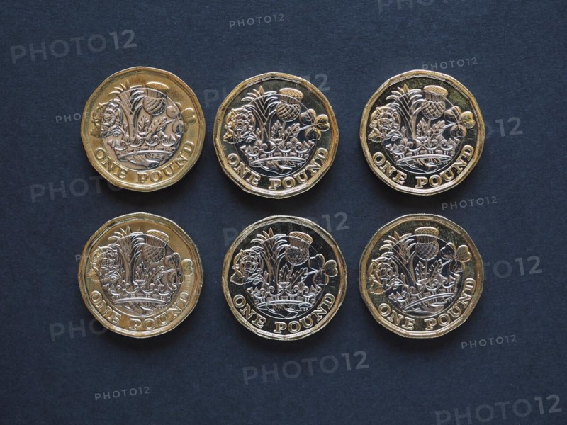 1 pound coin
