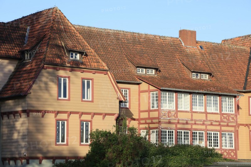 Historic wooden house