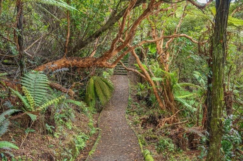 Golden Bay Track