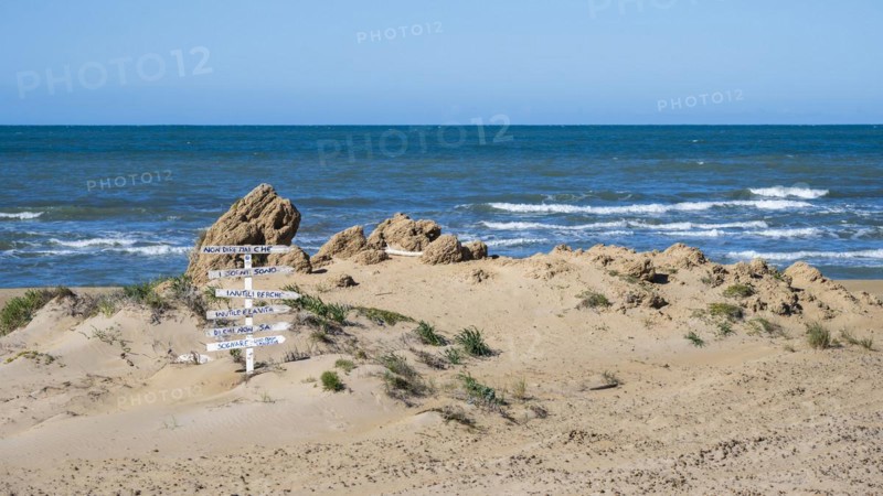 On the beach