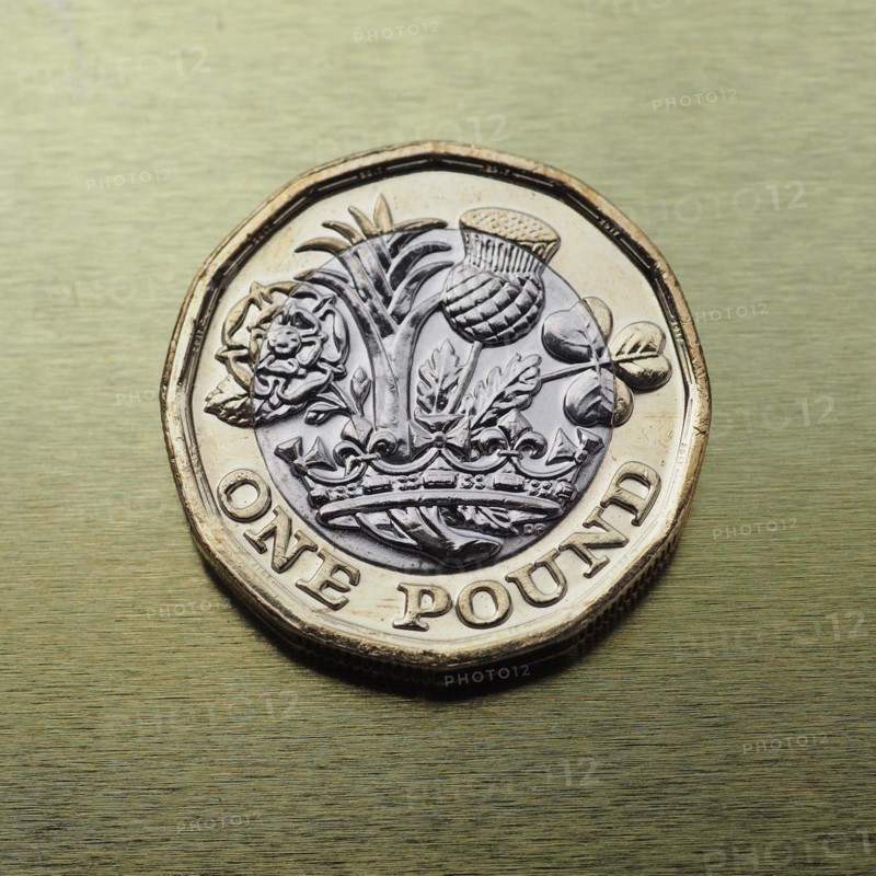 1 pound coin money