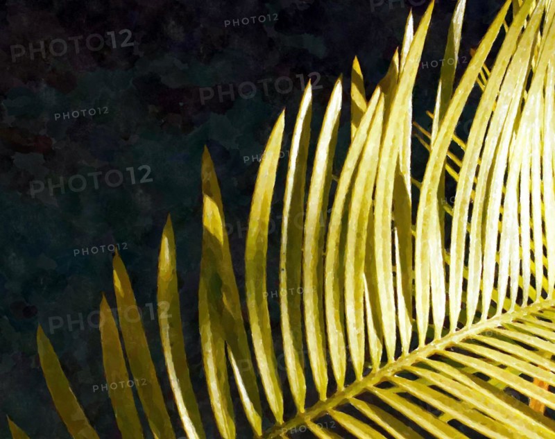 Fern leaves watercolor composition over black background