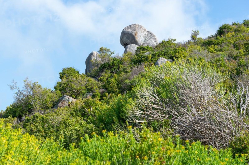 Granite rocks at Hoedjieskop