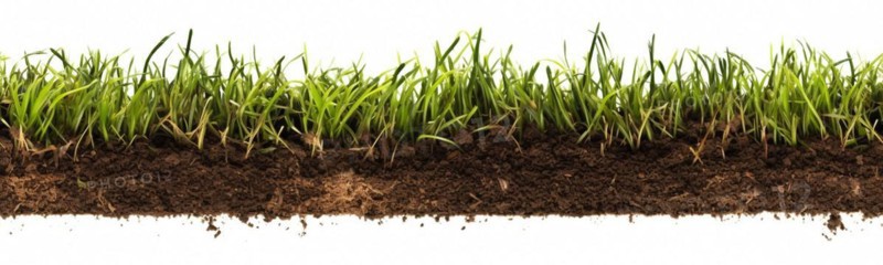 Seamless tileable row of fresh grass and soil on a white background