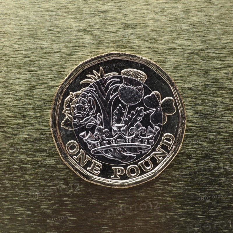 1 pound coin money