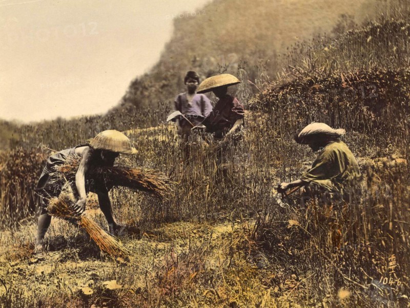 Agriculture