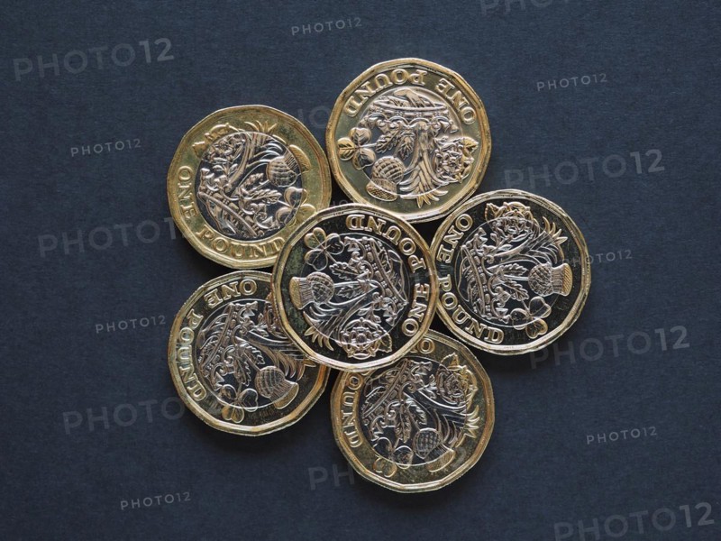 1 pound coin