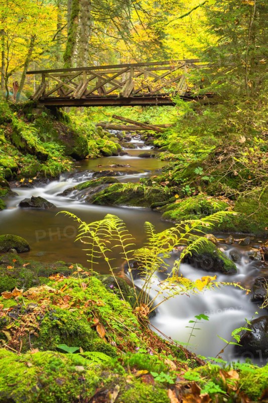 Bridge over the Ravenna stream