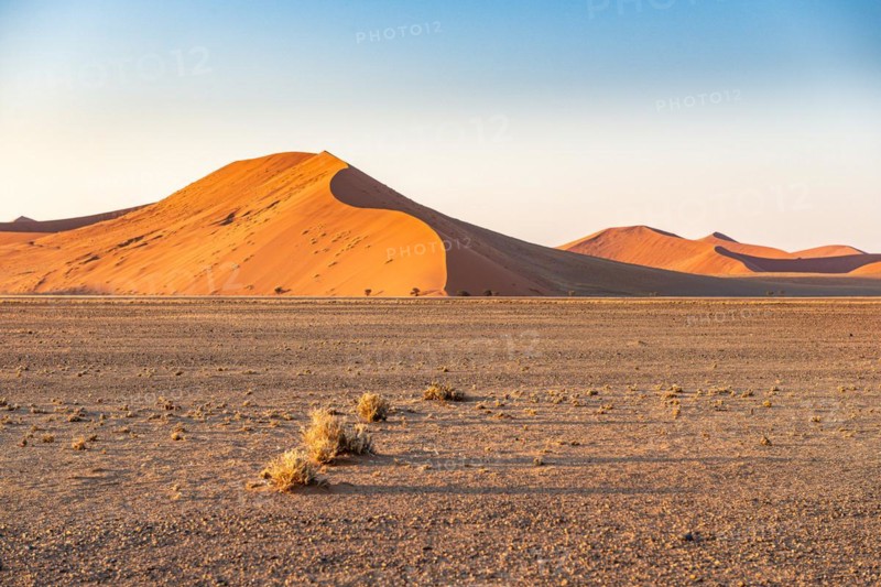 Red Sand Dunes
