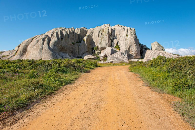 Postberg Section
