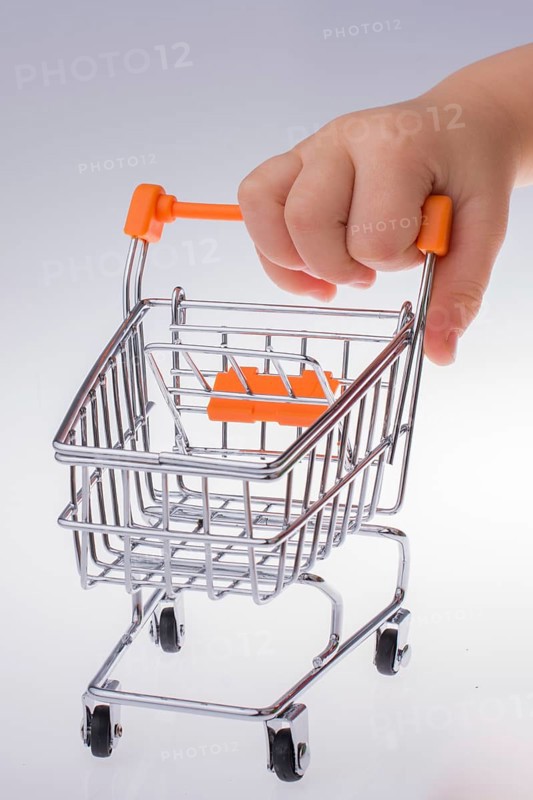Shopping cart in the hand on white background