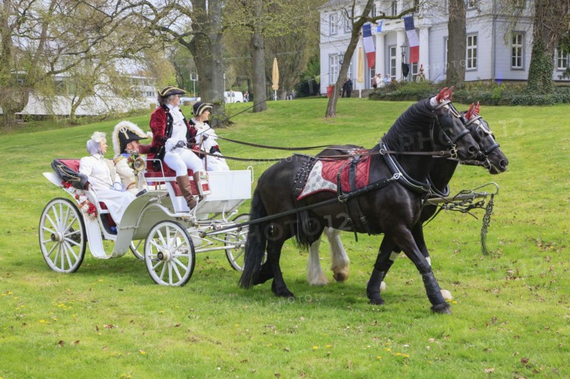 Horse-drawn carriage