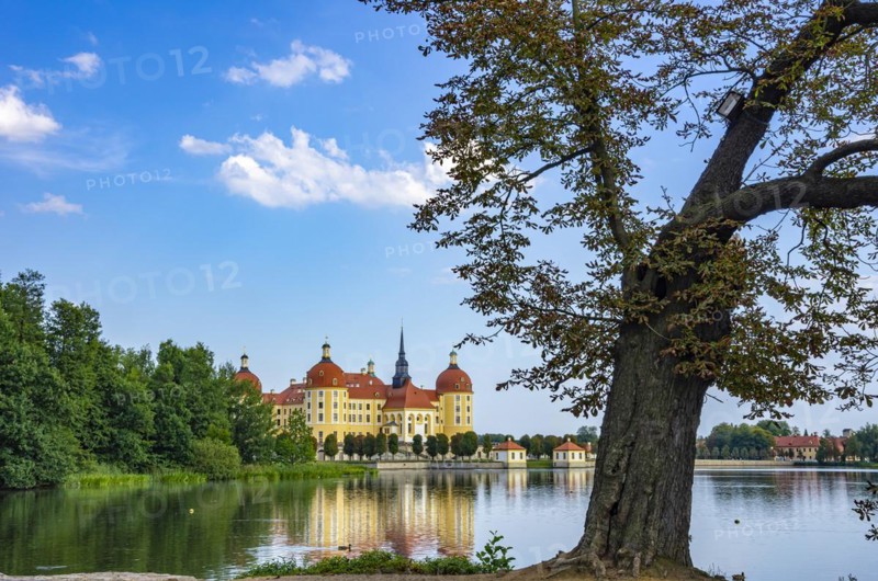 The world-famous Moritzburg Castle near Dresden