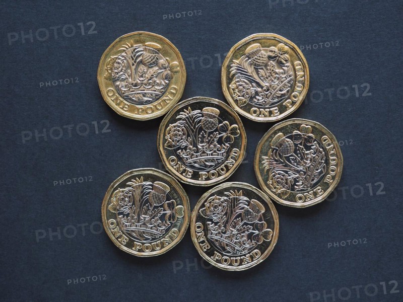 1 pound coin