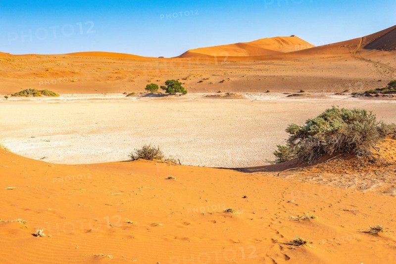 Red Sand Dunes