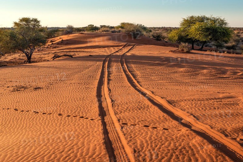 Kalahari Anib Lodge