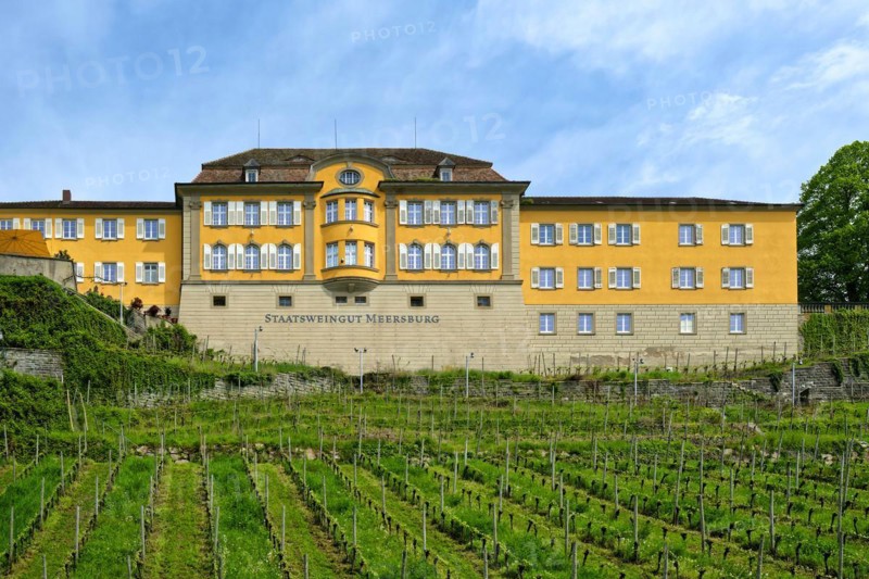 Staatsweingut Meersburg