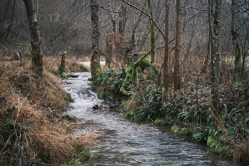 Slightly gloomy and murky river landscape in winter without snow