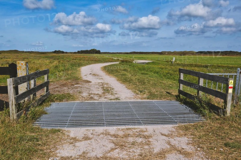 Cattle grid in ground