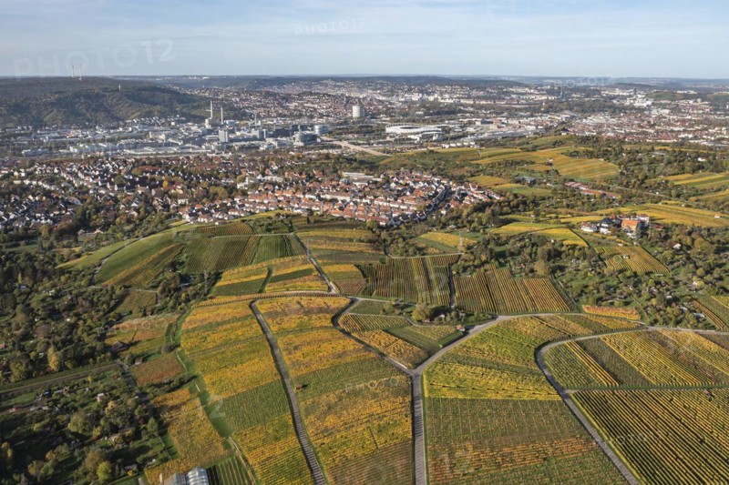 Vineyards in the area of the districts of Rotenberg and Untertuerkheim