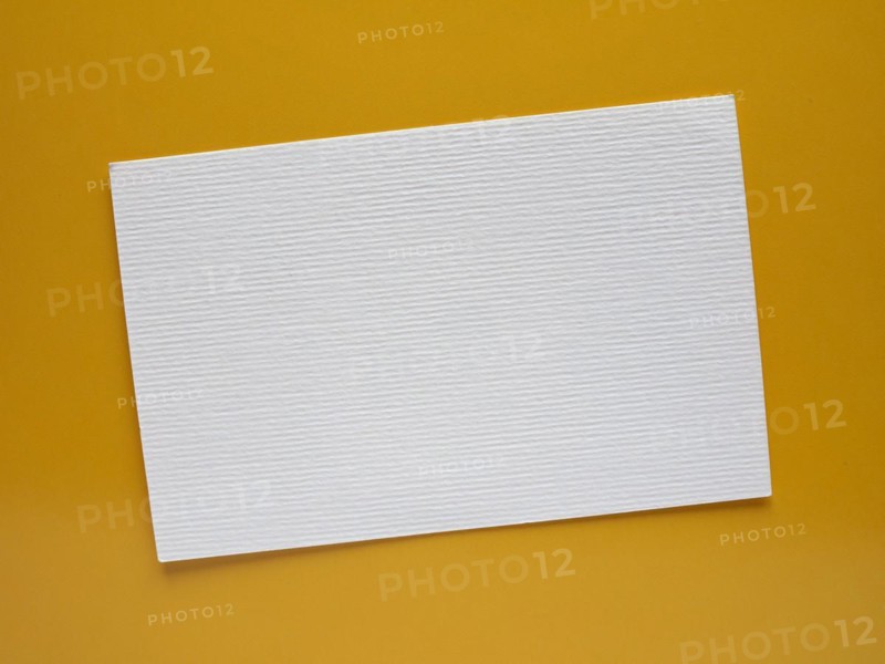Blank paper tag label