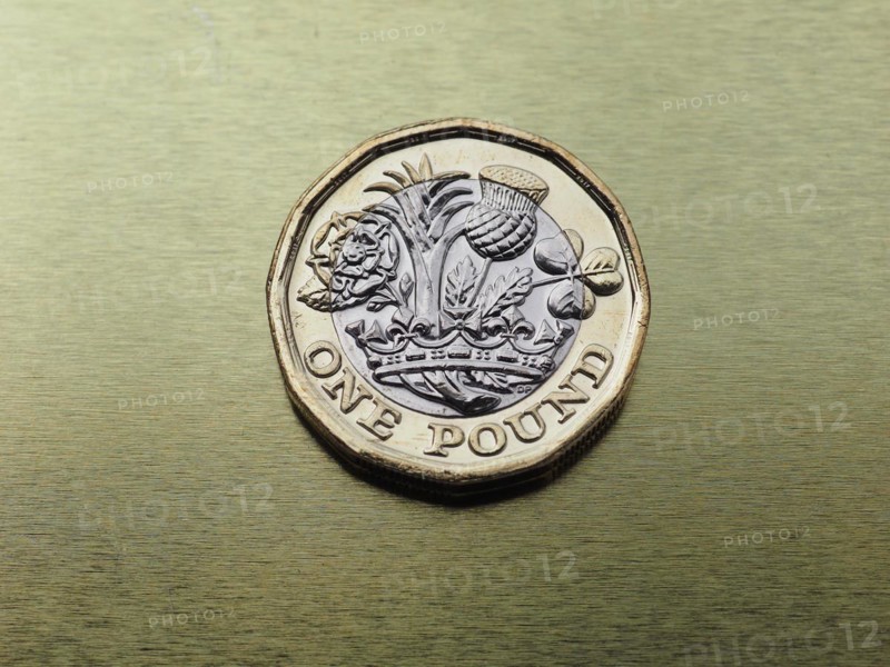 1 pound coin money