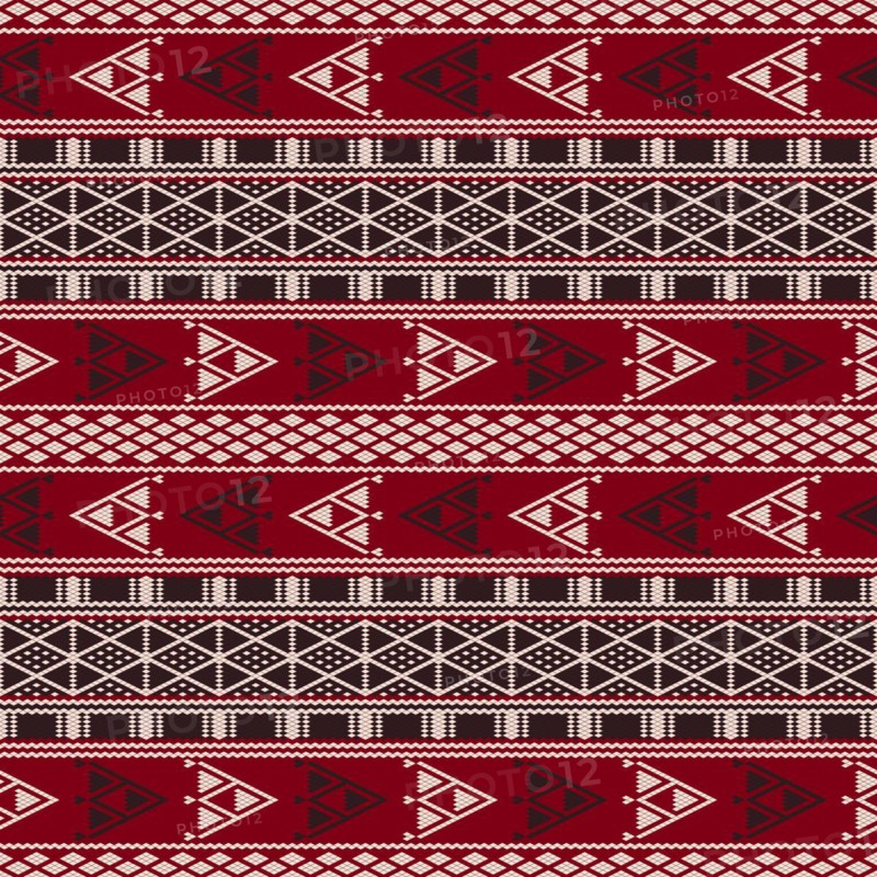 Traditional Tunisian embroidery pattern