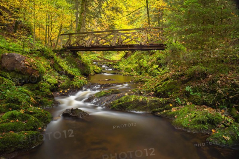 Bridge over the Ravenna stream