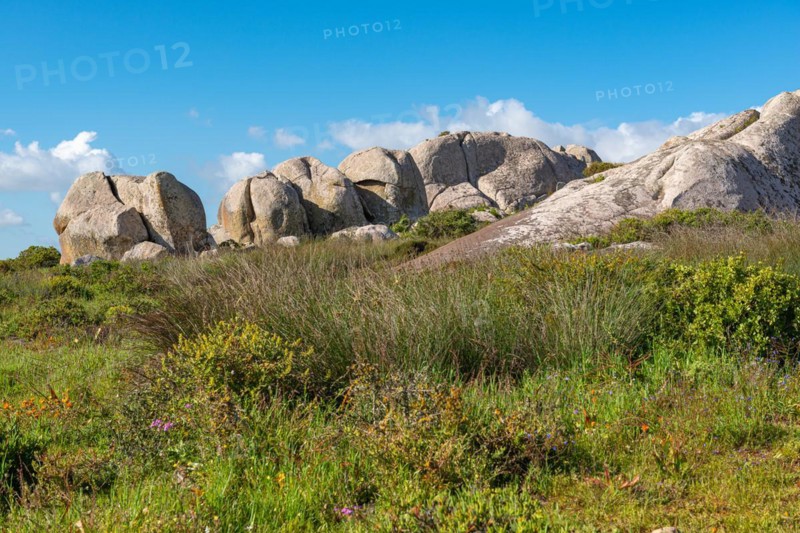 Postberg Section