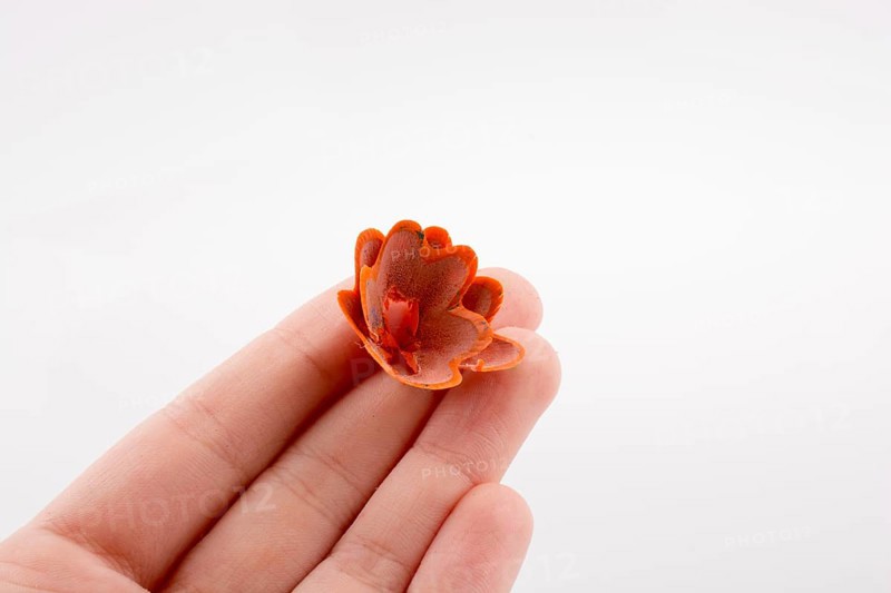 Color pencils shavings at the top of fingers on white background