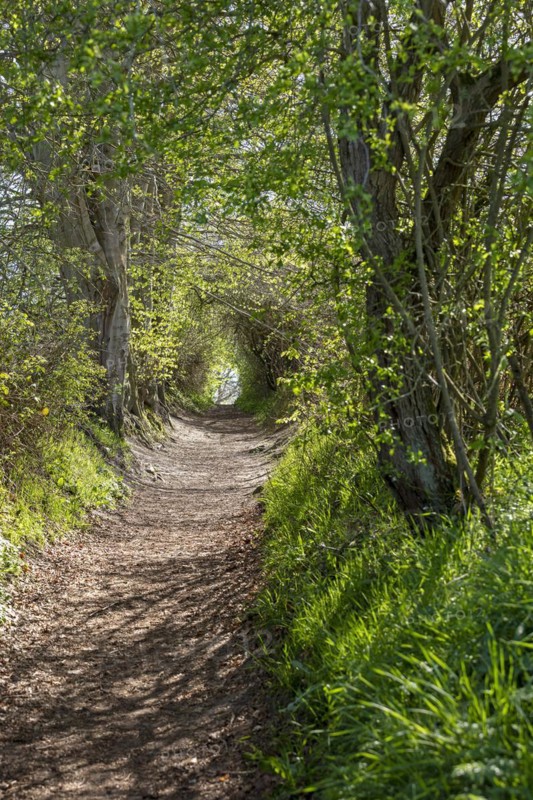 Hiking trail