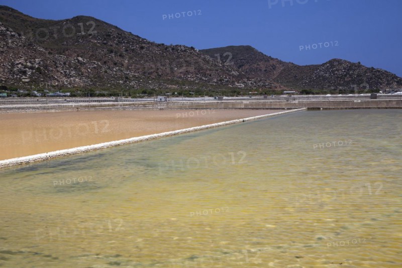 Salt fields for salt production