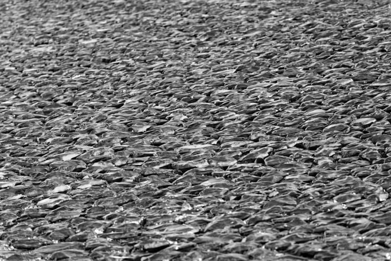 Basalt stones in the morning light