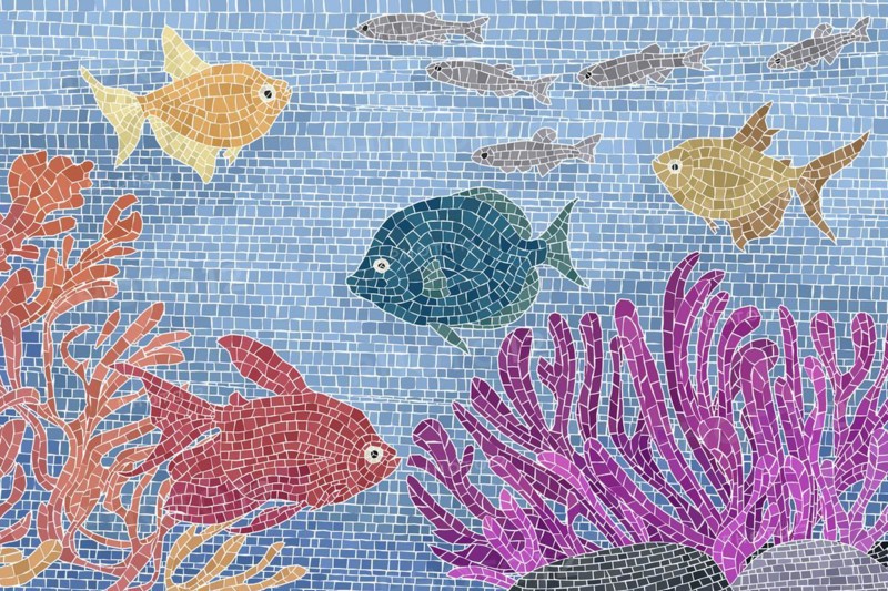 Underwater scene with colored fishes and plants