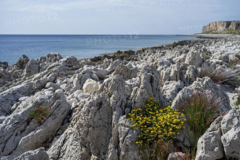Rocks on the coast