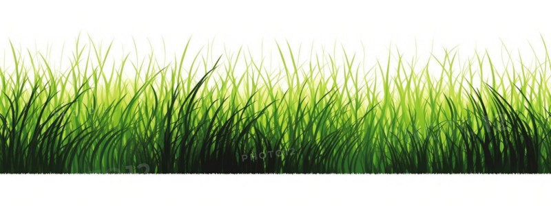 Seamless tileable row of fresh grass on a white background