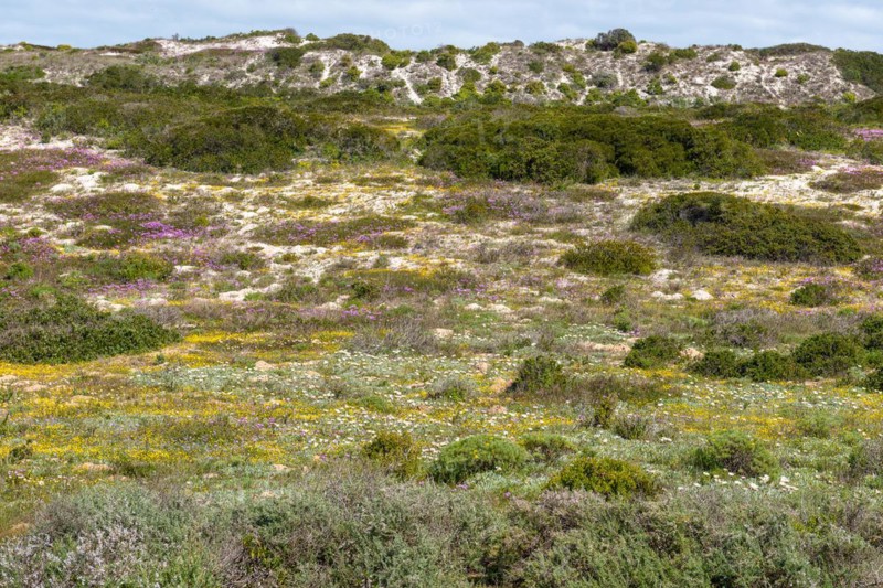 West Coast National Park