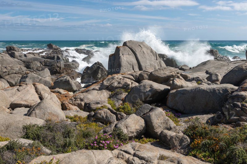 Plankiesbaai