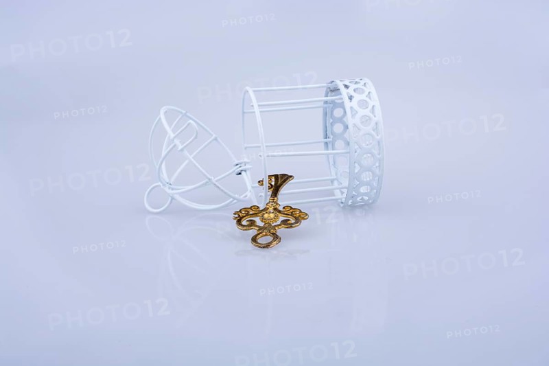 Retro styled key by the side of a bird cage on white background