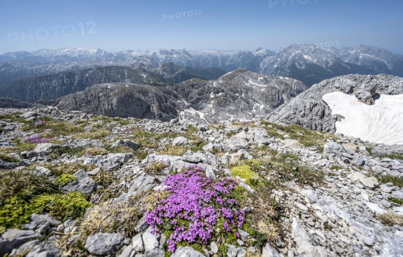 Spring in the mountains