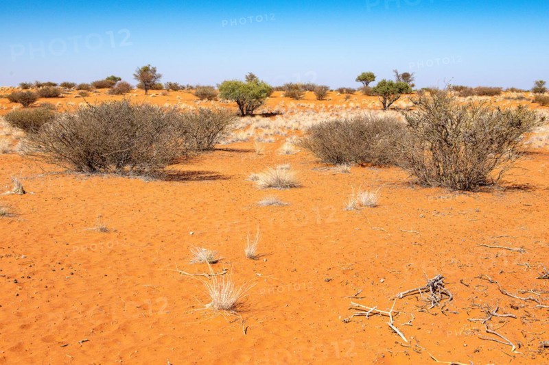 Kalahari Anib Lodge