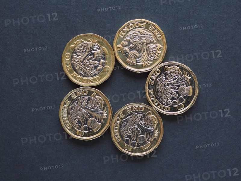 1 pound coin