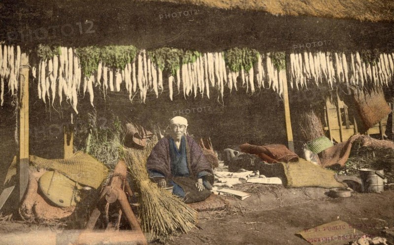 Agriculture