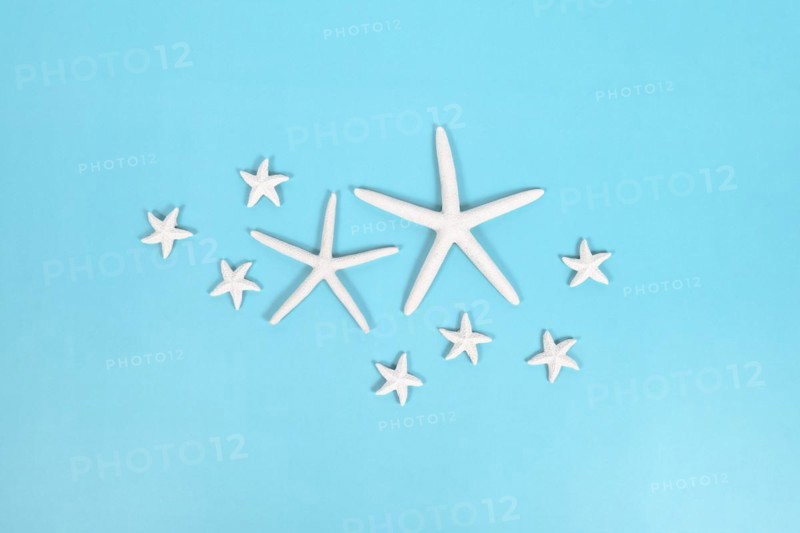 Different sized starfish on blue background