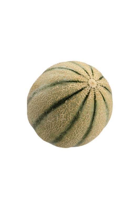 Cantaloupe melon or Charentais melon