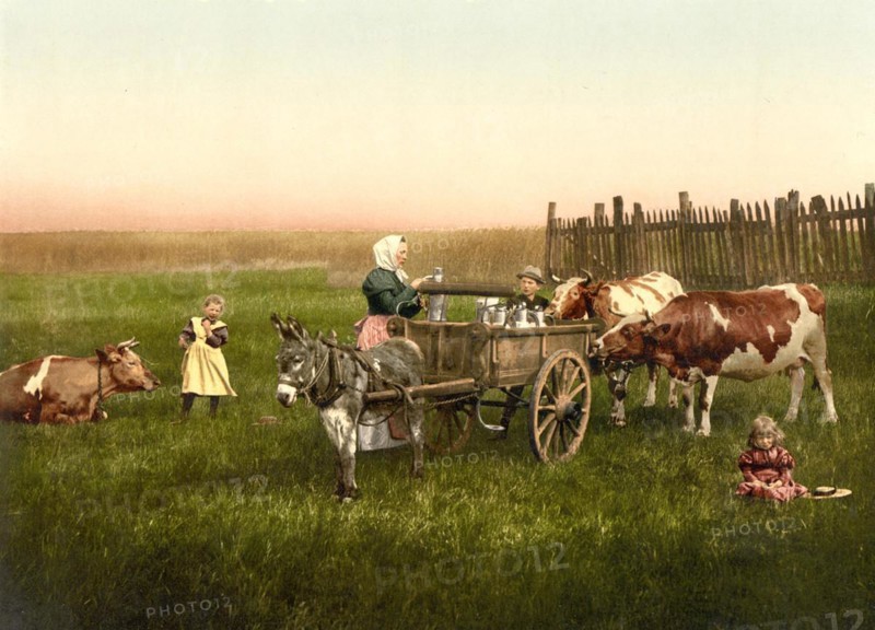 Selling milk directly on the pasture from a donkey cart