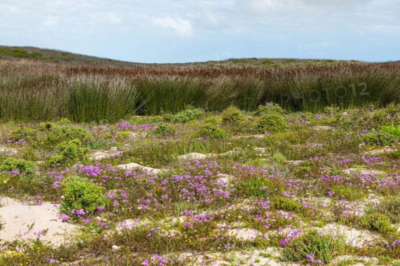 West Coast National Park