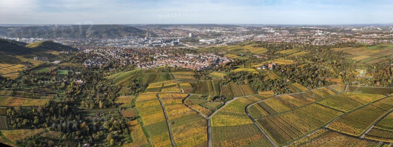 Vineyards in the area of the districts of Rotenberg and Untertuerkheim