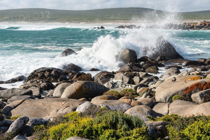 Plankiesbaai